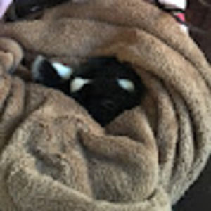 Meet your Posher, Aleena